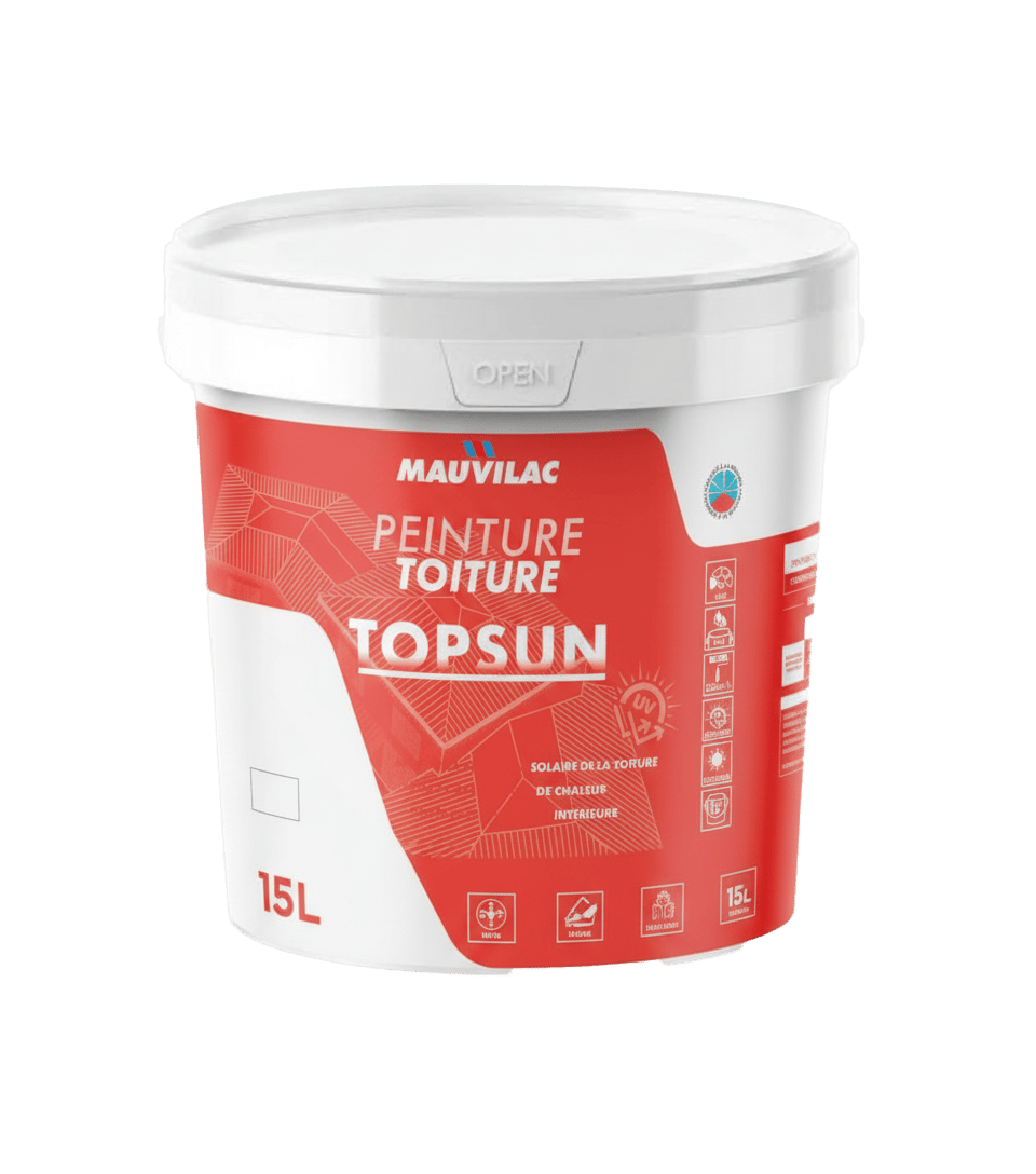 pot de peinture TOPSUN